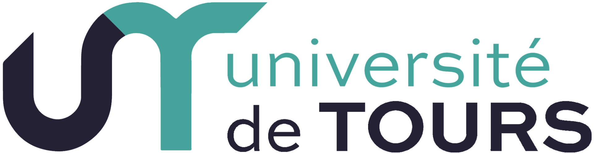 Tours University